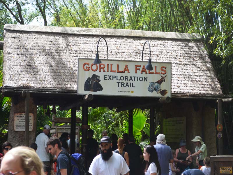 Disney's Gorilla Falls 