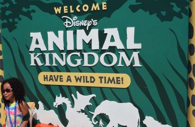 Disney’s Animal Kingdom at Orlando Florida-2017