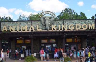 Disney’s Safari  Park at Animal Kingdom Orlando Florida-2017