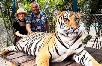 Tiger Park Pattaya Branch, Thailand- 2024
