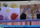 Ideation Fresh  Food Service Forum Chef Demo By Chef Scott Uehlein of Sonic Corp-2017