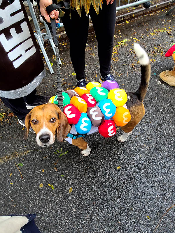 The 2023 Tompkins Square Park Halloween Dog Parade2023 World Liberty