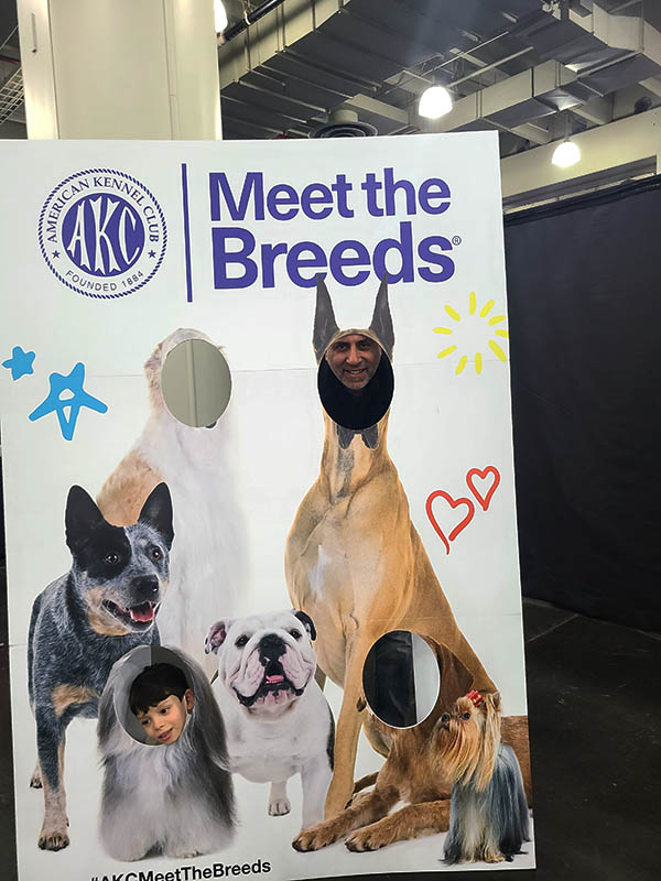 American Kennel Club Meet the Breeds at NYC2024 World Liberty TV
